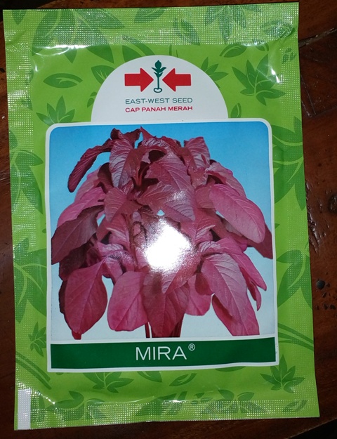 Warta Terbaru